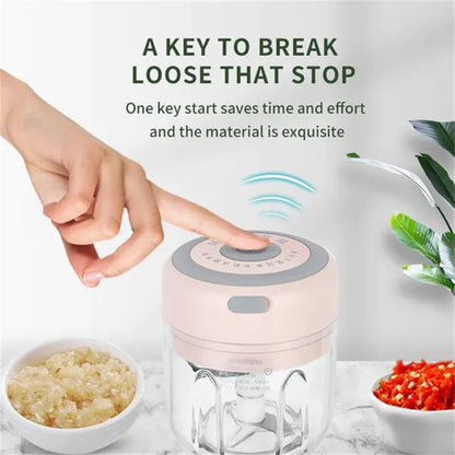 Mini USB Electric Chopper