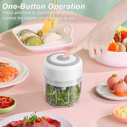 Mini USB Electric Chopper